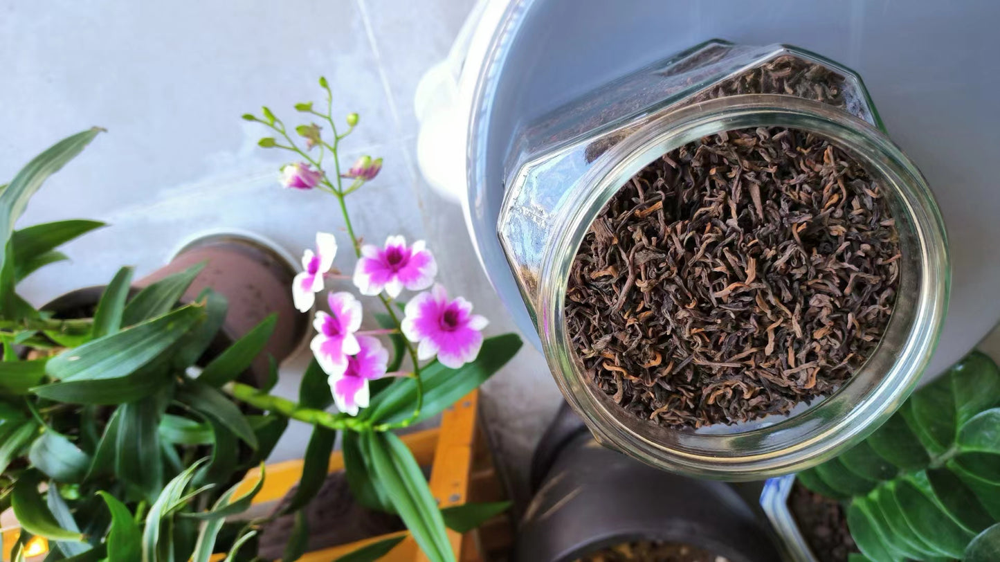 【2005雲南南糯山樟香老熟普 · 歲月凝香】2005 Nannuo Mountain Camphor-Aged Ripe Pu-erh · Liquid Amber