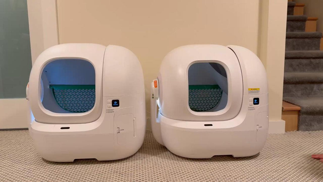 PETKIT PuraBot Max Pro 2 同舊版Max Pro分別｜實測對比+完整清潔教學【香港養貓必睇】