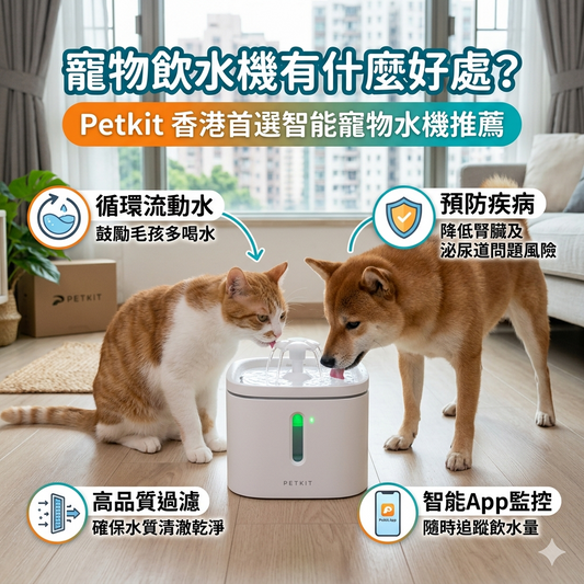 寵物飲水機有什麼好處？| Petkit 香港首選智能寵物水機推薦
