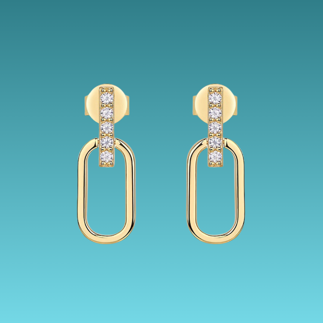 法式時尚925銀鑽石耳環 French Fashion 925 Silver diamond Earrings-1021 Aquafilo