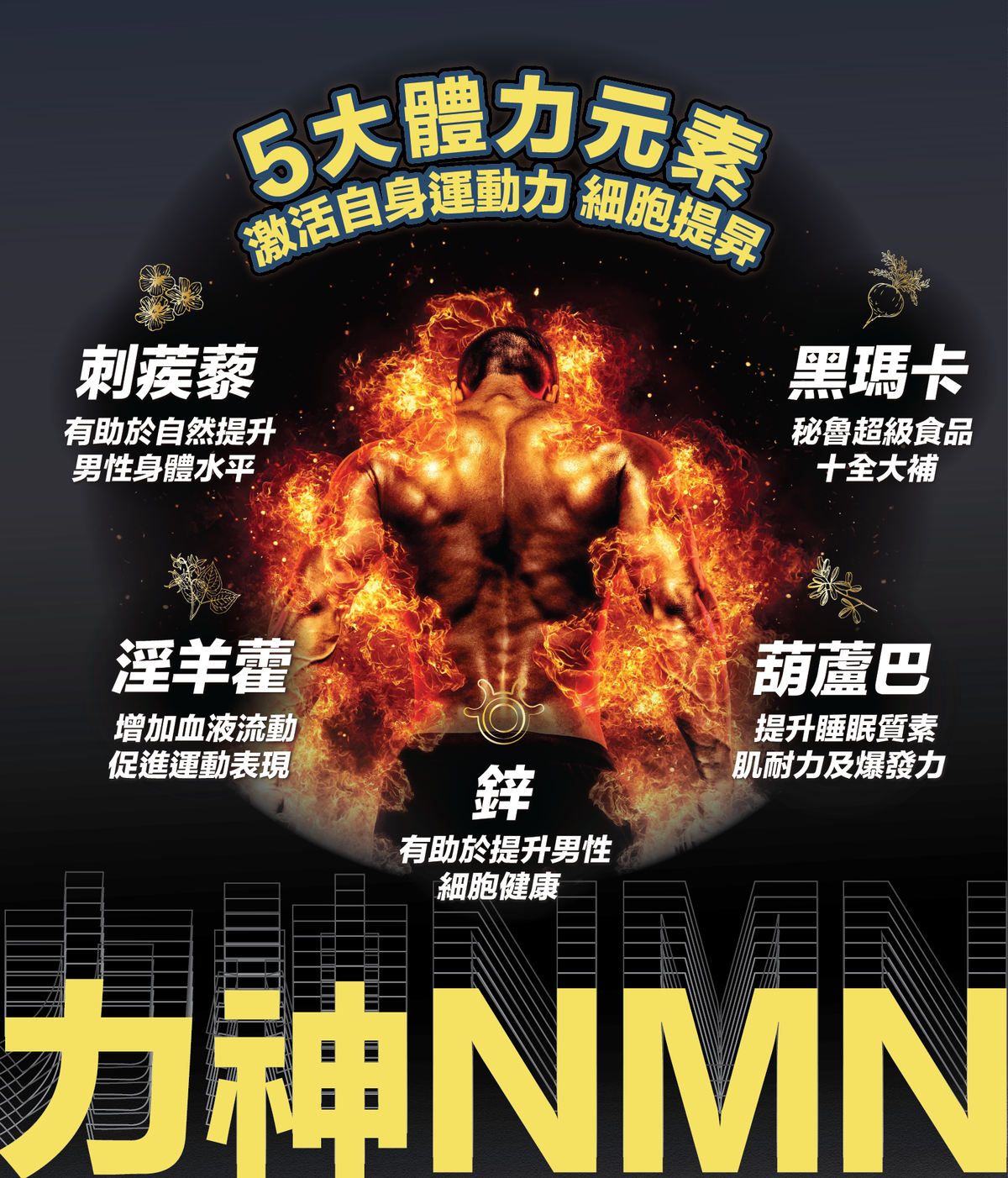 萬寧有售 力神 - 升級版 NMN 19800+ 男士逆天回春丸 (60粒)  送力神勁力飲 男士專用配方｜黑瑪卡+淫羊藿配方｜保健品｜男士保健｜提高能量 Hardman NMN 19800+ men’s rejuvenation pills (60 capsules)
