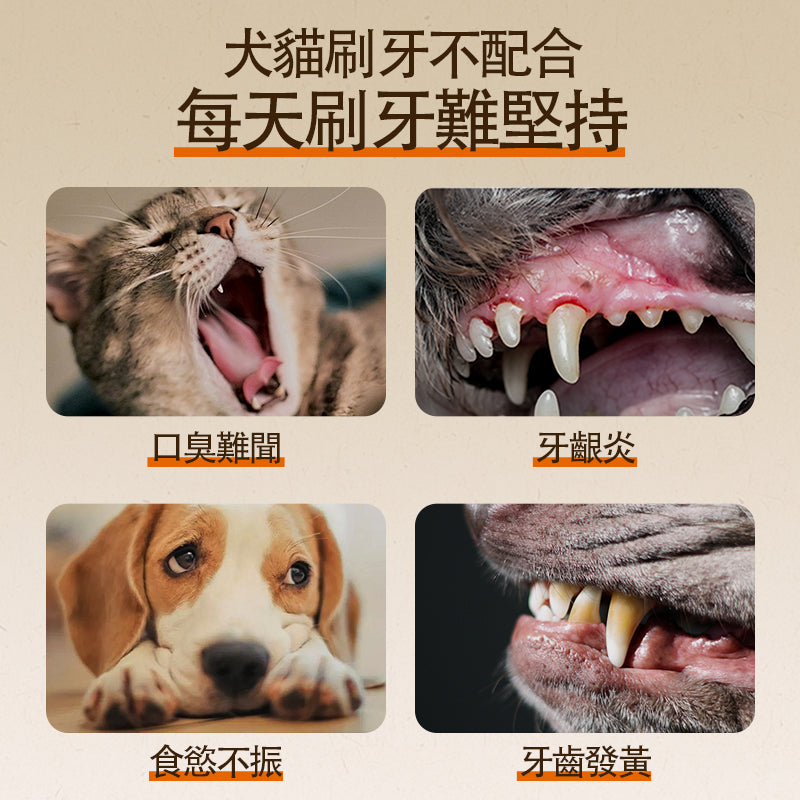 O'dless 寵物潔齒水 500ml 貓狗適用 毛孩用品 香港製造 O'dless Dental Water Additive 500ml