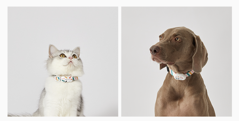 PETKIT - Fit 3 Smart Cat Tag PETKIT - Fit 3 智能貓牌-Aquafilo