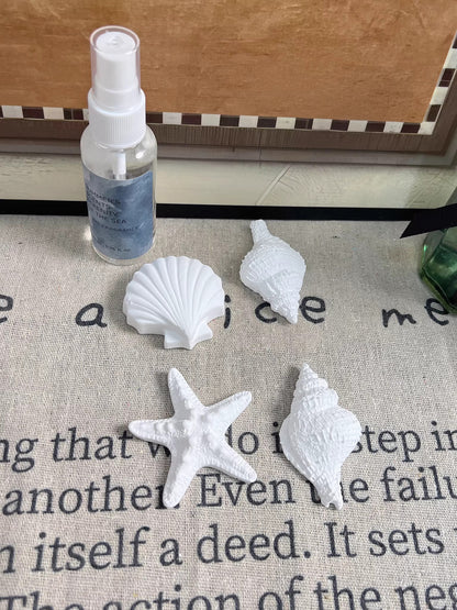 海鹽鼠尾草天然香薰噴霧 Sea Salt & Sage Fragrance Spray