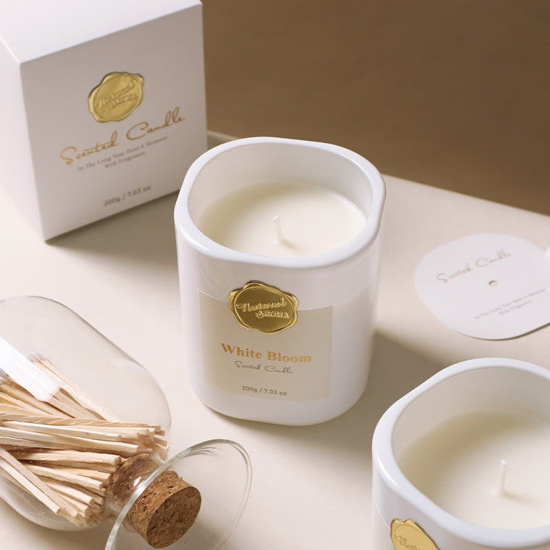 【Premium Scented Gift Set】An All-in-One Aromatic Experience for Space & Soul 3027