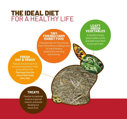 Diagram of the ideal diet for a rabbit with text and illustrations on a white background.