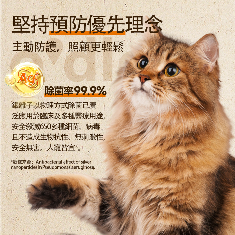 Pet Odor Remover (Angry Orange) 500ml O'dless 寵物免洗消臭劑 (柑橘) 