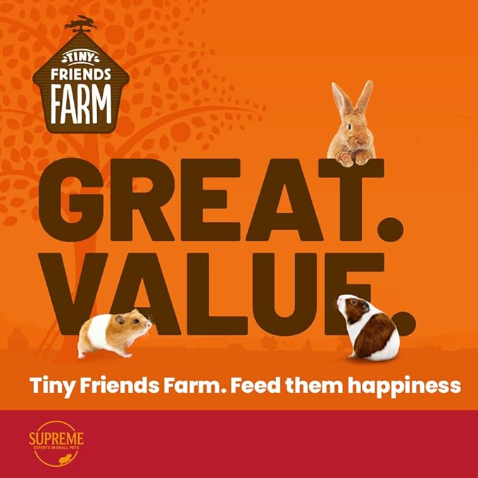 Advertisement for Tiny Friends Farm with text 'Great Value' and images of a rabbit, hamster, and guinea pig on an orange background.