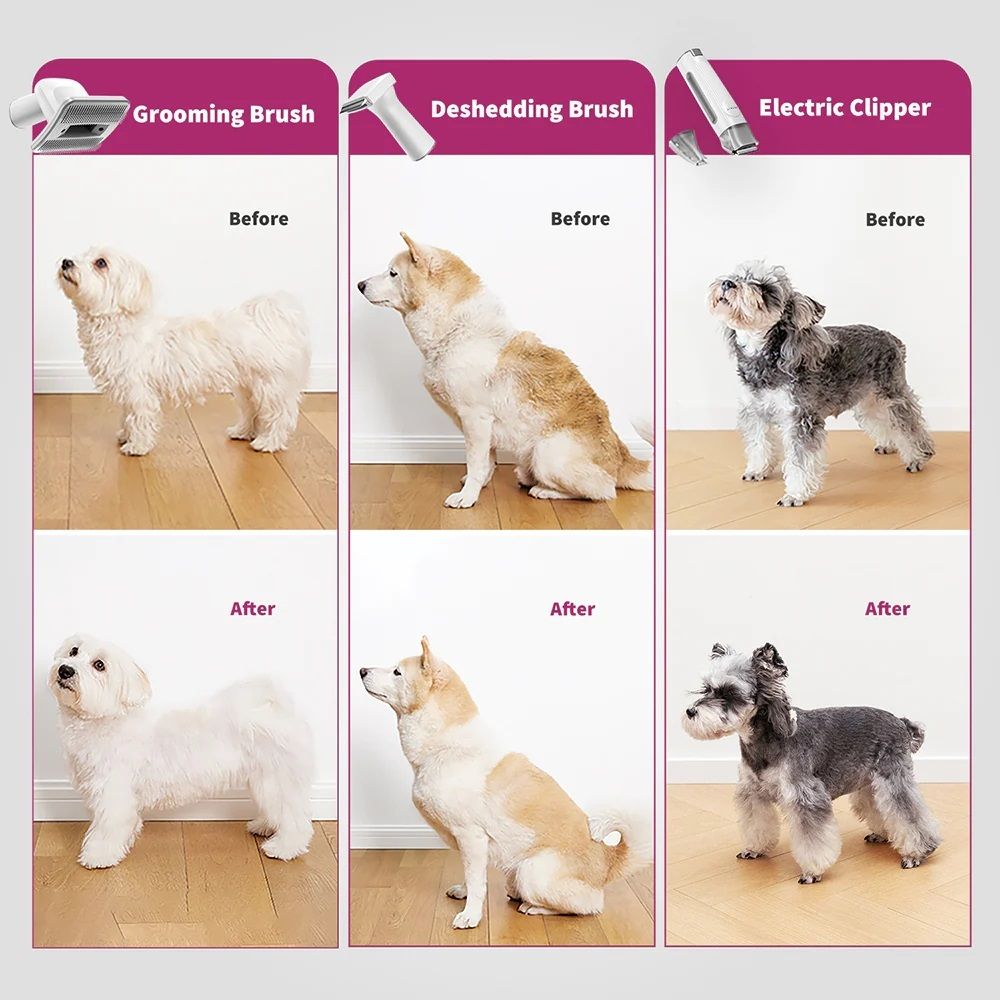 PETKIT AirClipper 5-in-1 Pet Grooming Kit | Vacuum Hair Remover | Dog & Cat Grooming Trimmer | Pet Vacuum Cleaner PETKIT - AirClipper 寵物5合1美容修毛器｜吸塵吸毛機｜寵物美容套件｜貓狗梳毛修剪機｜寵物吸塵機 香港原裝行貨 1年保養-Aquafilo