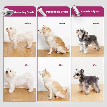 PETKIT AirClipper 5-in-1 Pet Grooming Kit | Vacuum Hair Remover | Dog & Cat Grooming Trimmer | Pet Vacuum Cleaner PETKIT - AirClipper 寵物5合1美容修毛器｜吸塵吸毛機｜寵物美容套件｜貓狗梳毛修剪機｜寵物吸塵機 香港原裝行貨 1年保養-Aquafilo