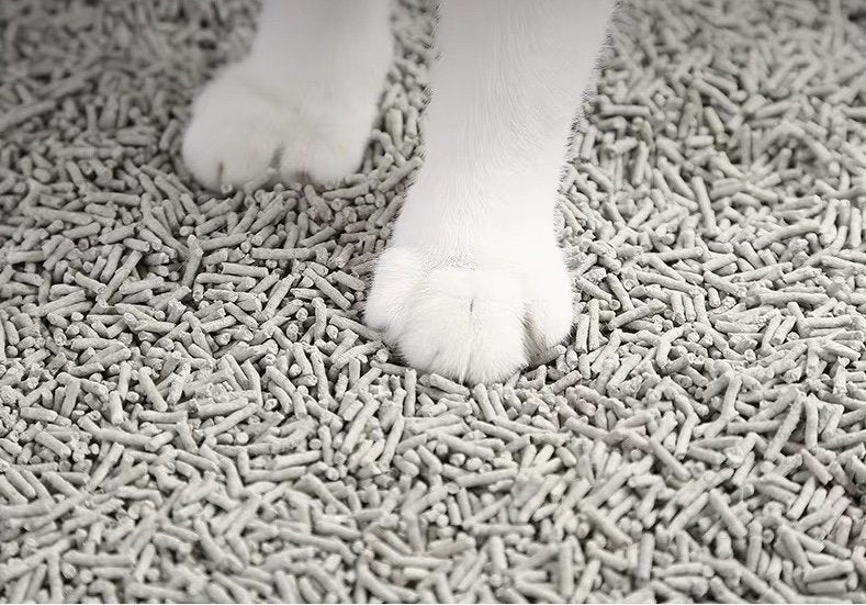 PETKIT Activated Carbon Deodorizing Tofu Cat Litter Full Box 18L (6L × 3) PETKIT - 活性碳除臭豆腐砂原箱18L(6L x3) 香港原裝行貨-Aquafilo