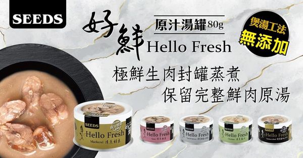 SEEDS - Hello Fresh好鮮燉湯貓罐頭80g 無添加 台灣銷量no.1 26年最新批次