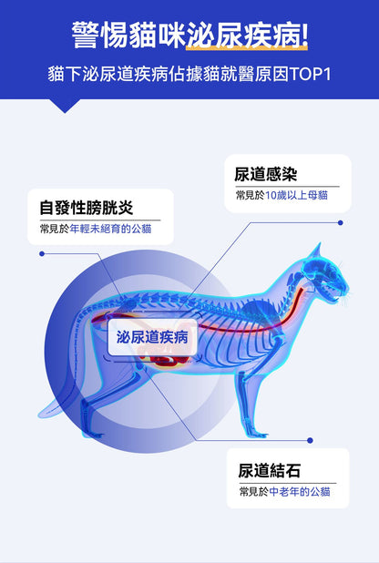 Dr. Vet – Miaomiao Test Cat Urine Occult Blood 3-Second Test Granules, 10g Dr. Vet - 秒秒測 貓咪隱血尿液3秒檢測顆粒 10g-Aquafilo