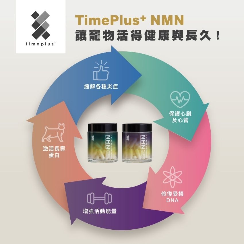 timeplus+ Doggy NMN Longevity Formula (60 Capsules) Timeplus+ - Doggy NMN 犬用 逆齡命活保健配方 60粒裝