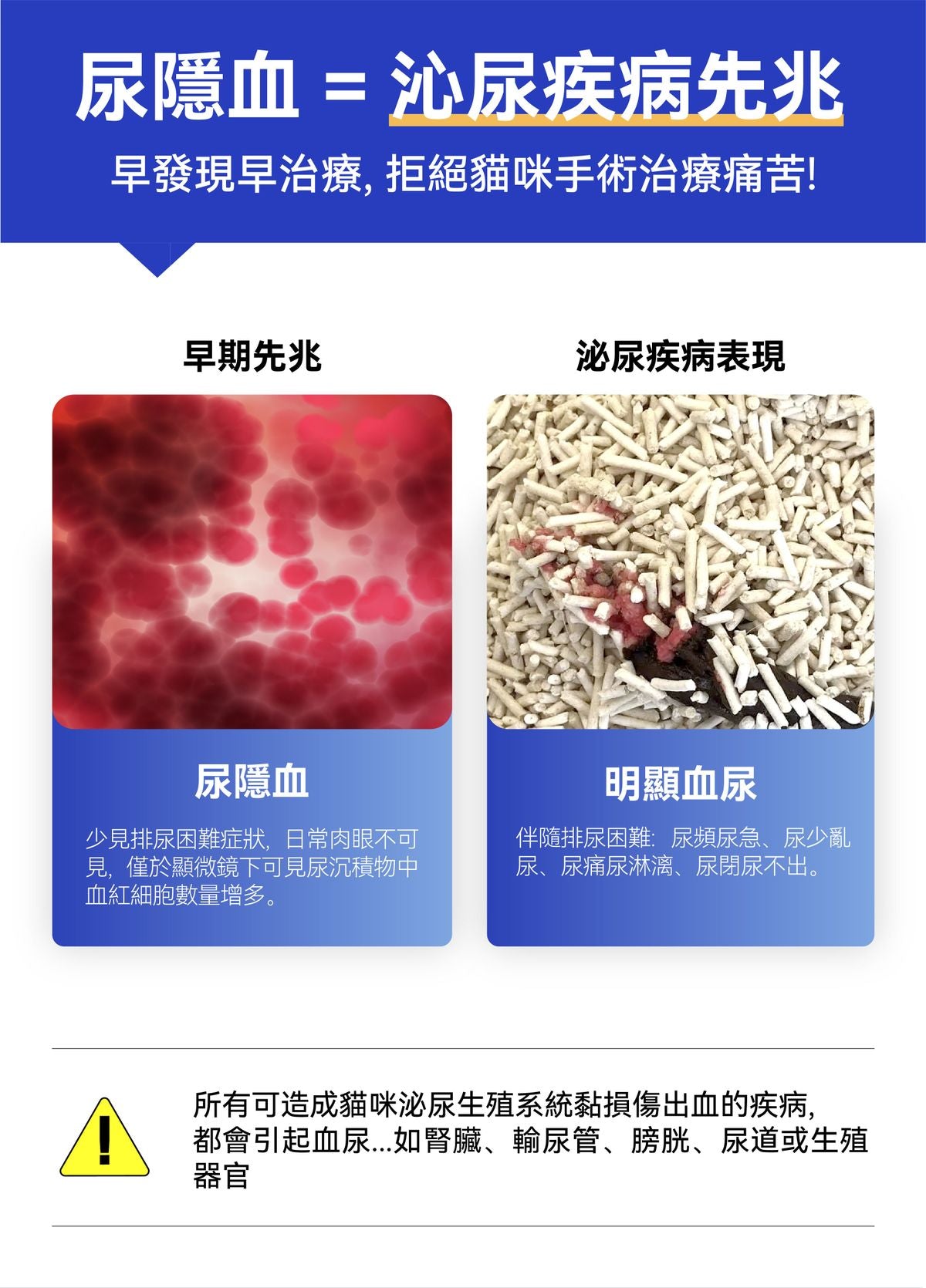 Dr. Vet – Miaomiao Test Cat Urine Occult Blood 3-Second Test Granules, 10g Dr. Vet - 秒秒測 貓咪隱血尿液3秒檢測顆粒 10g-Aquafilo