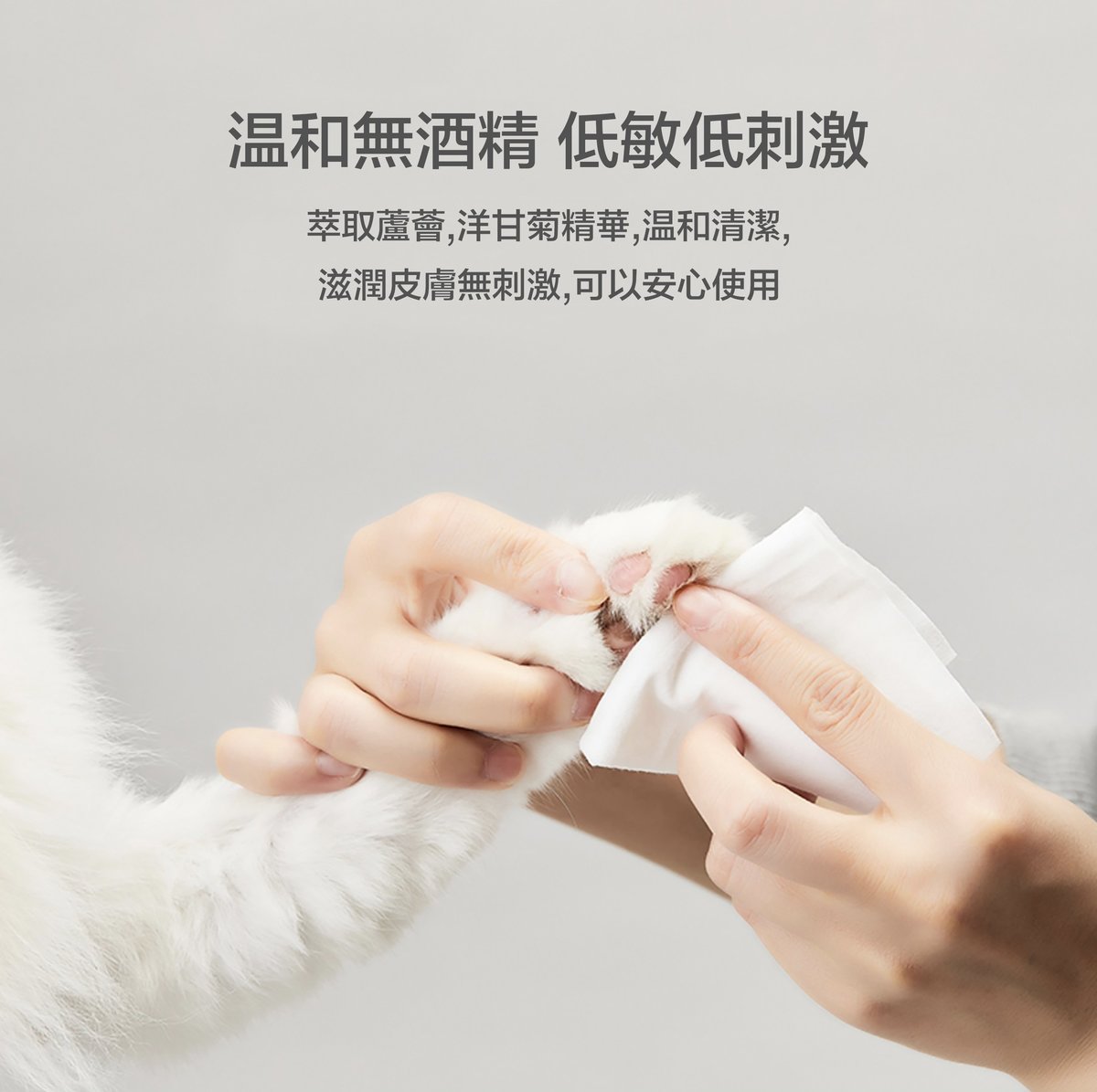 PETKIT - 99.9%殺菌全身濕紙巾80片 x5 aquafilo