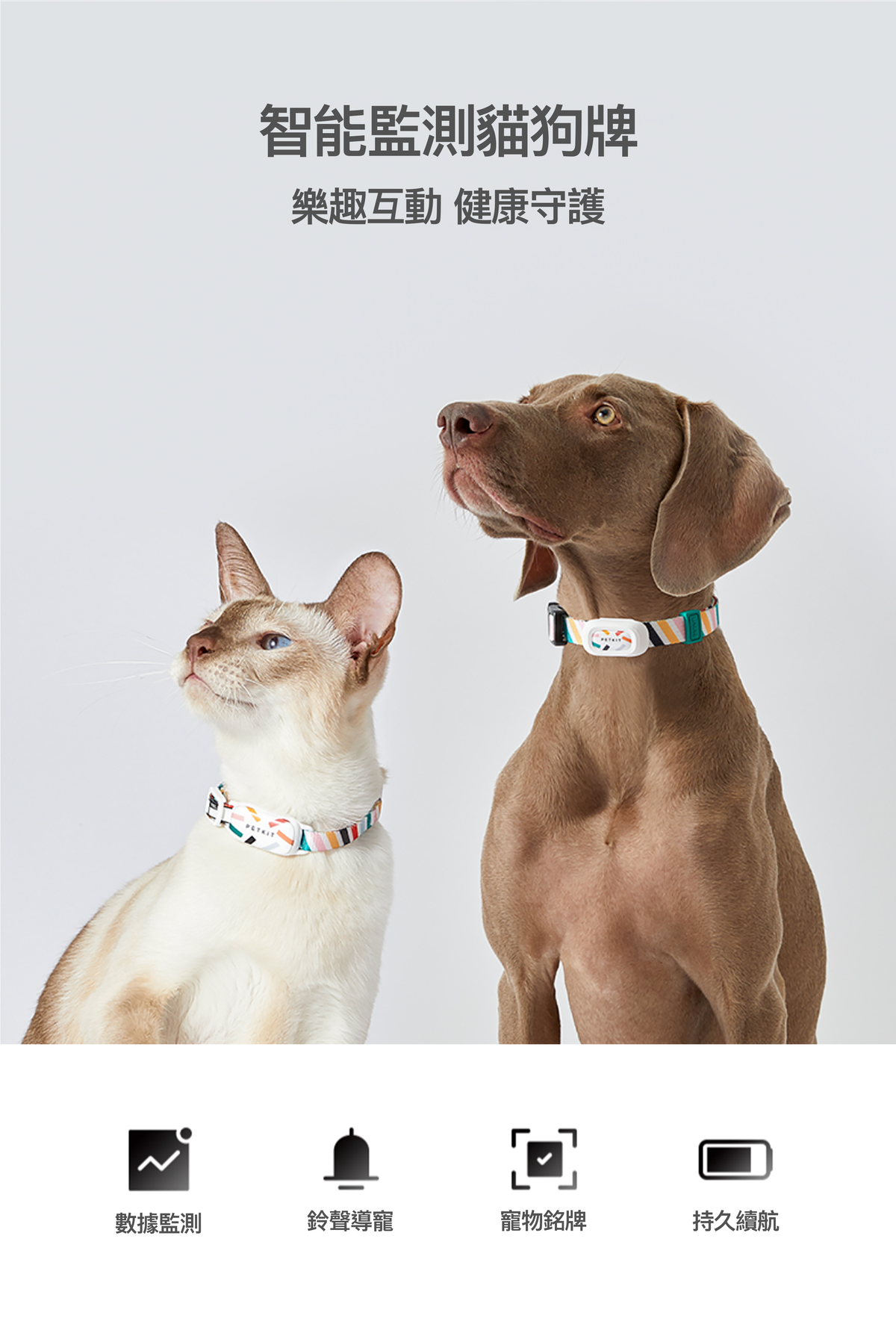 PETKIT - Fit 3 Smart Cat Tag PETKIT - Fit 3 智能貓牌-Aquafilo