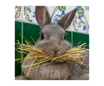 英國至尊 Supreme 美味乾草 2kg Supreme 2kg Tiny Friends Farm Russel Rabbit Tasty Hay