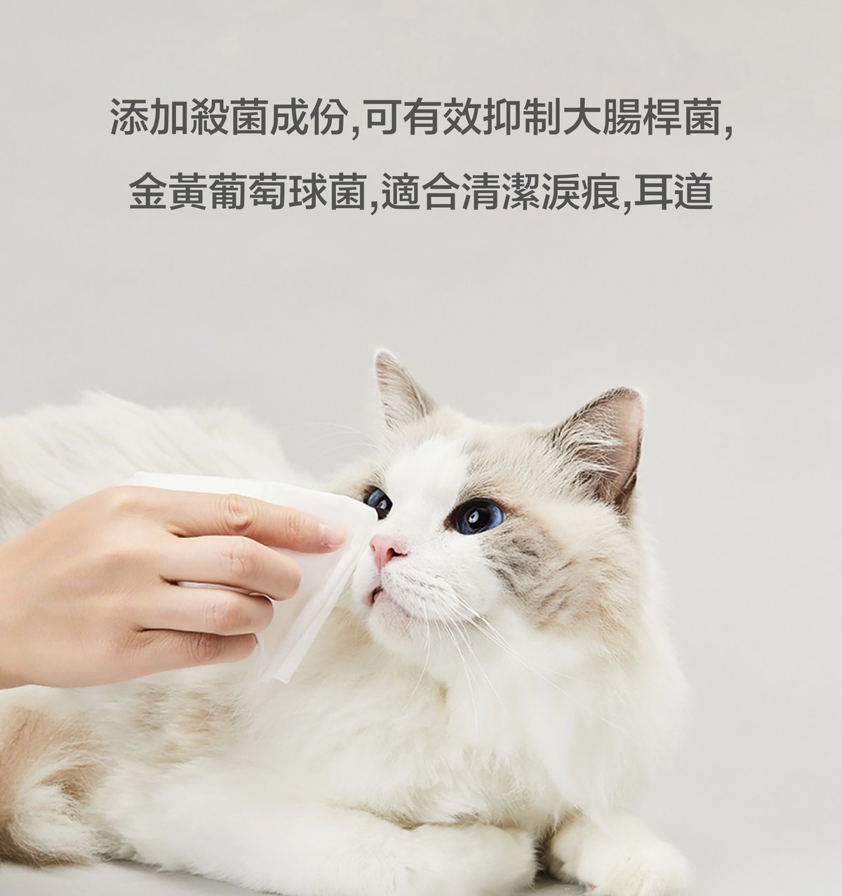 PETKIT - 99.9%殺菌全身濕紙巾80片 x5 aquafilo