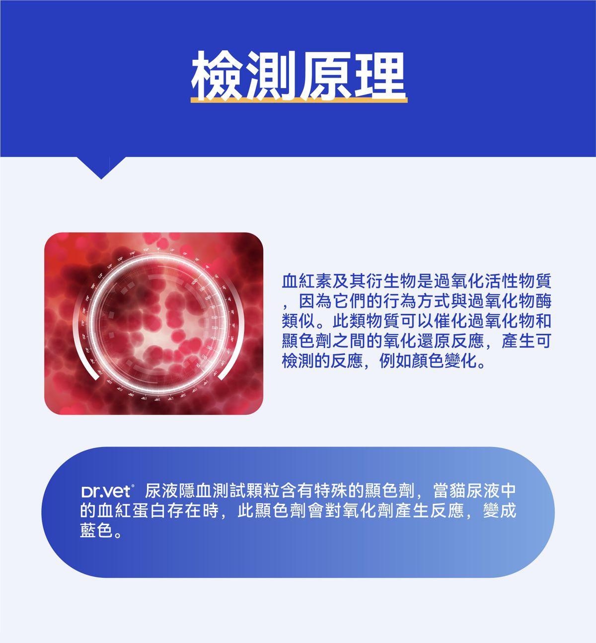 Dr. Vet – Miaomiao Test Cat Urine Occult Blood 3-Second Test Granules, 10g Dr. Vet - 秒秒測 貓咪隱血尿液3秒檢測顆粒 10g-Aquafilo