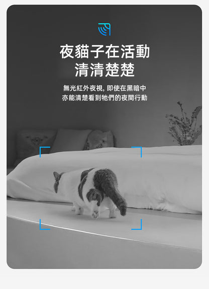 PETKIT - Yumshare SOLO 智能鏡頭餵食器 P571｜寵物餵食器｜餵食機｜IP鏡頭｜寵物監控鏡頭｜貓狗可用