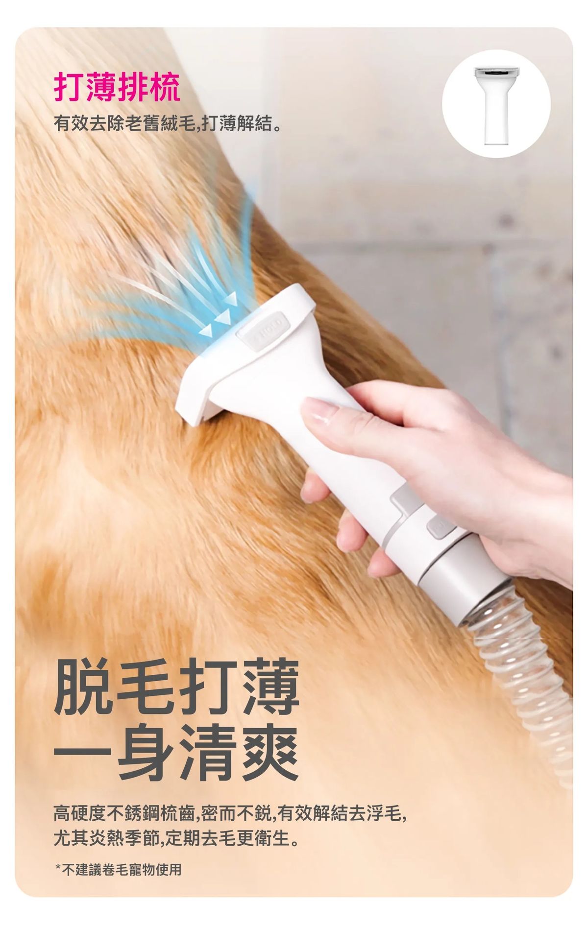PETKIT AirClipper 5-in-1 Pet Grooming Kit | Vacuum Hair Remover | Dog & Cat Grooming Trimmer | Pet Vacuum Cleaner PETKIT - AirClipper 寵物5合1美容修毛器｜吸塵吸毛機｜寵物美容套件｜貓狗梳毛修剪機｜寵物吸塵機 香港原裝行貨 1年保養-Aquafilo
