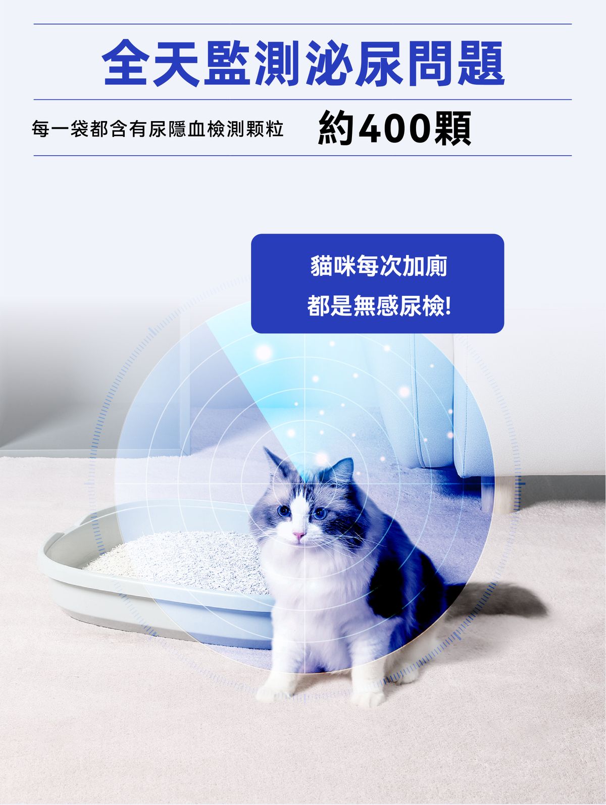 Dr. Vet – Miaomiao Test Cat Urine Occult Blood 3-Second Test Granules, 10g Dr. Vet - 秒秒測 貓咪隱血尿液3秒檢測顆粒 10g-Aquafilo