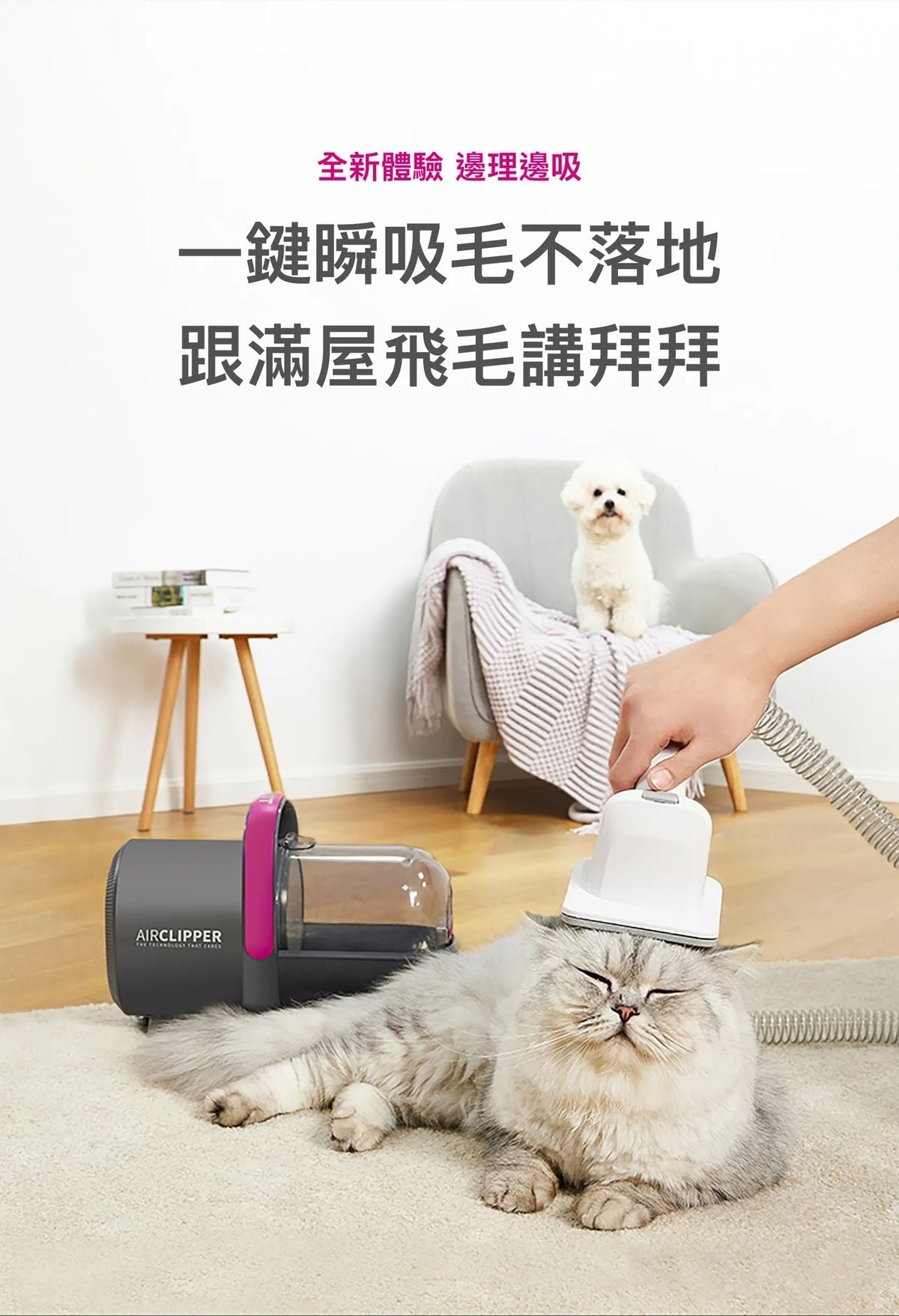PETKIT AirClipper 5-in-1 Pet Grooming Kit | Vacuum Hair Remover | Dog & Cat Grooming Trimmer | Pet Vacuum Cleaner PETKIT - AirClipper 寵物5合1美容修毛器｜吸塵吸毛機｜寵物美容套件｜貓狗梳毛修剪機｜寵物吸塵機 香港原裝行貨 1年保養-Aquafilo