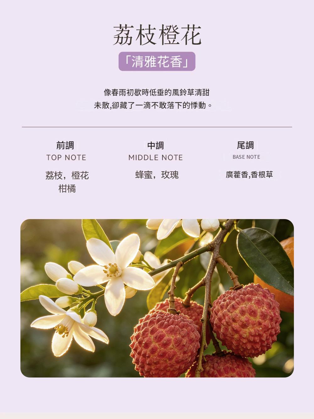 Fresh Floral Series Alcohol-Free Oil-Based Reed Diffuser, 50ml Crystal Glass Bottle, Long Lasting Home Aroma Ornament 清新花語植物精油擴香薰 水晶玻璃瓶油性香薰 50ml 持久擴香居家擺設-Aquafilo