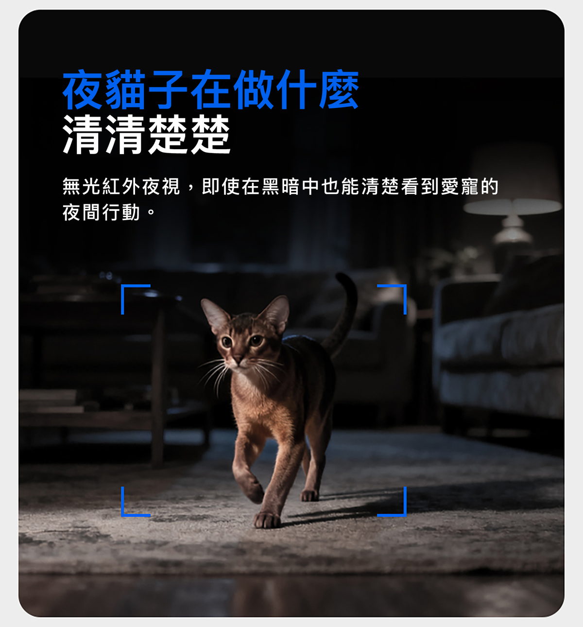 PETKIT - YumShare SOLO 2 AI Smart Camera Pet Feeder PETKIT - YumShare SOLO 2 AI智能鏡頭餵食器-Aquafilo