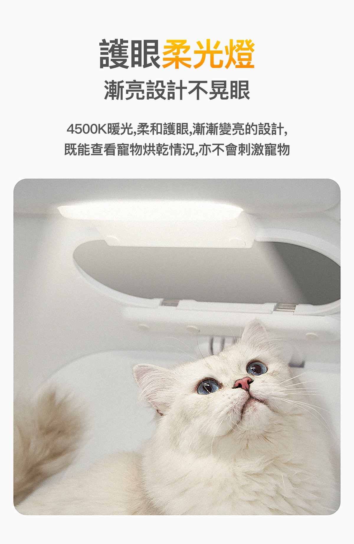 PETKIT AirSalon Max Pro Smart Pet Dryer Box PETKIT - AirSalon Max Pro 智能寵物烘毛機 香港原裝行貨 1年保養-Aquafilo
