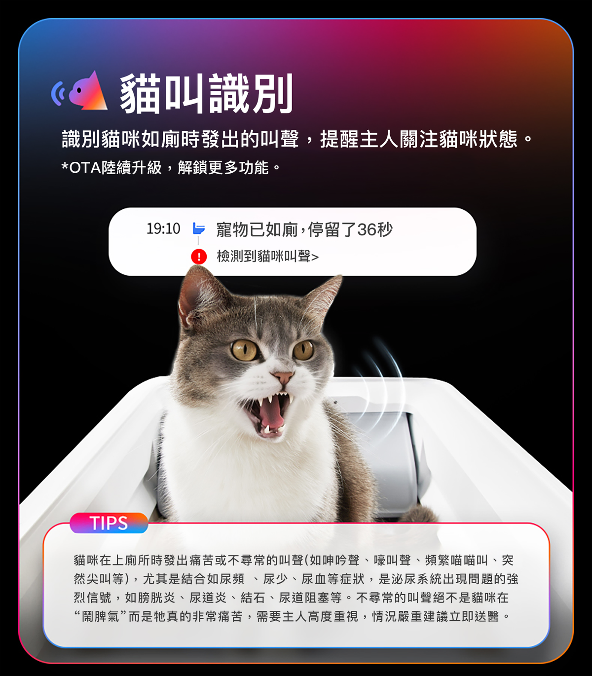 PETKIT PUROBOT CRYSTAL DUO AI Smart Camera Dual-Wing Automatic Open-Top Cat Litter Box P9905 Genuine Hong Kong Licensed Product | Local 1-Year Warranty PETKIT - PUROBOT CRYSTAL DUO AI智能鏡頭全自動雙翼貓廁所 P9905｜貓廁所｜智能貓廁所｜貓砂盆｜開放式砂盤｜智能貓砂盤 香港原裝行貨 本地1年保養-Aquafilo